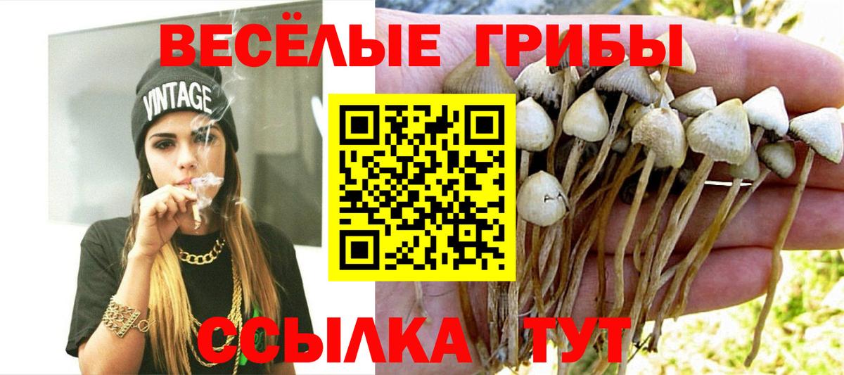 Галлюциногенные грибы Cubensis  Псилоцибиновые грибы Psilocybine cubensis  Волгоград  Вход с VPN 